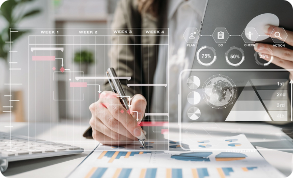 Development and Planning Services
